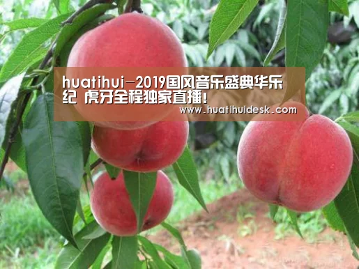 华体会登陆