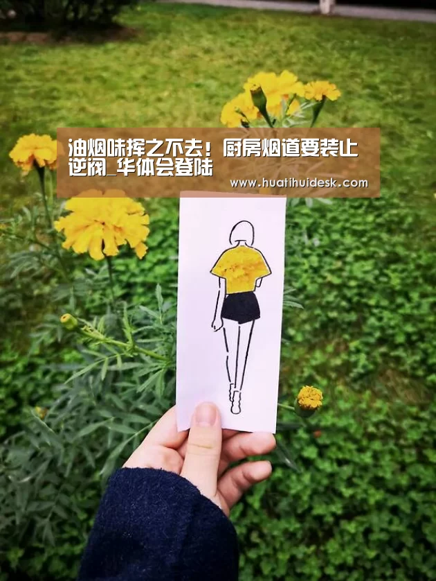 油烟味挥之不去!厨房烟道要装止逆阀_华体会登陆(图1) 华体会官网在线