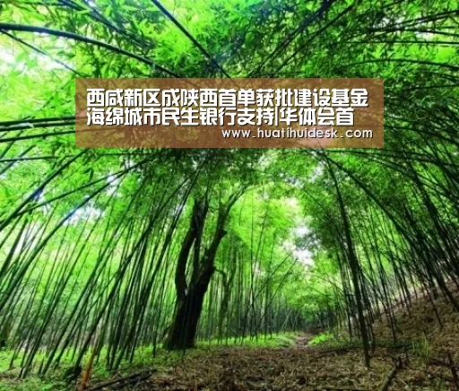 西咸新区成陕西首单获批建设基金海绵城市民生银行支持|华体会首页(图3) 西咸新区成陕西首单获批建设基金海绵城市民生银行支持|华体会首页(图3)