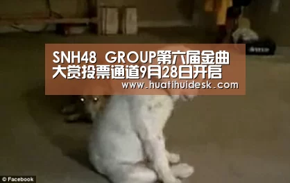 华体会首页