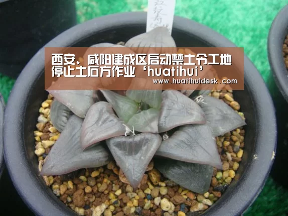 西安、咸阳建成区启动禁土令工地停止土石方作业‘huatihui’(图1) 西安、咸阳建成区启动禁土令工地停止土石方作业‘huatihui’(图1)